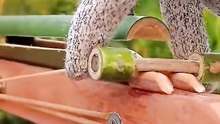 Creation of gun from Bamboo #invention