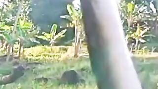 Big eel fishing