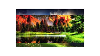 Amazing trees