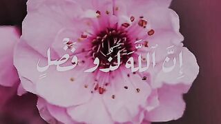 الله اكبر????❤️ 14
