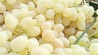 .Le raisins
