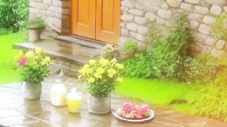 Love to share a cup of coffee with rainy day and nature☕????!