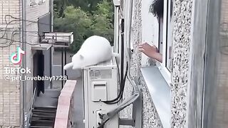 Смешные видео 15