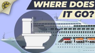 What happens after you flush the toilet on a cruise ship?