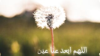 الله اكبر????❤️ 16