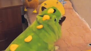 Funnydogs 19