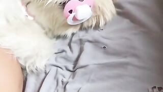 Funnydogs 21