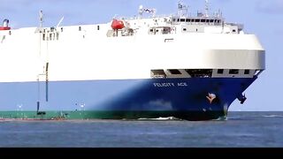 Cargo