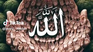 Amine 2