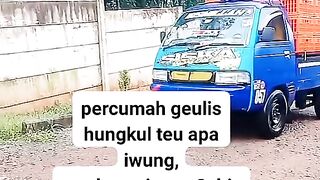 ayam broiler || kata kata lucu 226