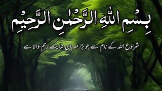 Surah Rehman 3