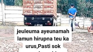 ayam broiler || kata kata lucu 227