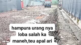 ayam broiler || kata kata lucu 228