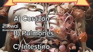 Aprende aprende 2