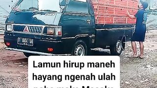 ayam broiler || kata kata lucu 230