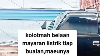 Ayam broiler || kata kata lucu