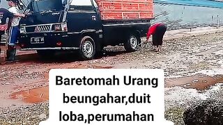 Ayam broiler || kata kata lucu 2