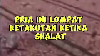 Perkara kucing sampe batal shalat