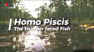 Ikan berwajah Manusia di Danau Samsara