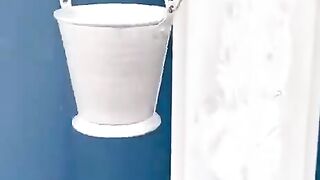 funny video 498