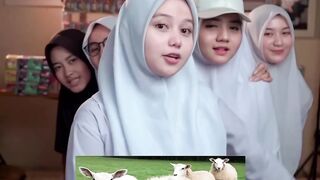 lomba-lomba