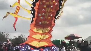 Giant lobster kite