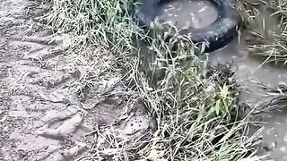 Unclogging video |satisfying video