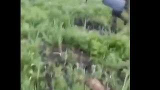 НОВО НАПРЕЖЕНИЕ ПО ПОЛСКО–БЕЛОРУСКАТА ГРАНИЦА