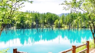 Biei Blue Pond (Hokkaido)