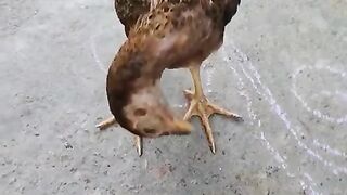 Beautiful_back_walk_#comedy_#trending_#viral_#shorts(480p).