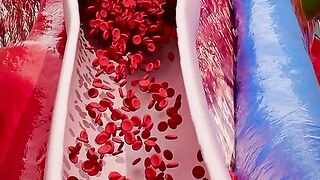 Information about health
