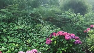 Sintra-Cascais in Portugal ♥️