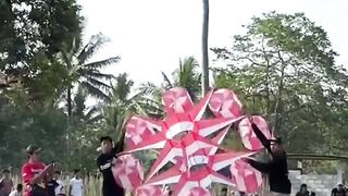Unique kite 2