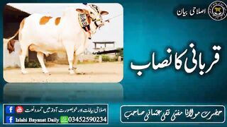 قربانی کا نصاب مفتی تقی عثمانی صاحب
