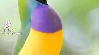 video 607
