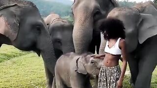 වල් අලියා???? - Chill with elephants❤️????