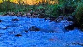 NATURE 3188