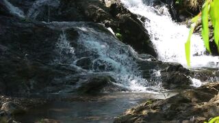 NATURE 3193