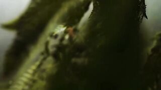 green region in Portugal????????????
