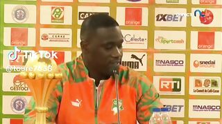 Les Éléphants de la côte d' ivoire