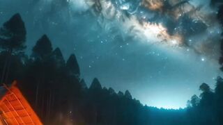 Nature Background Video 4k 2