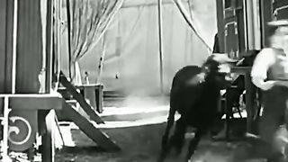 Charlie Chaplin Comedy fun - Charlie Chaplin