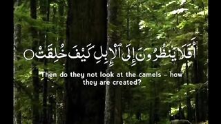 Use headphones quran translation in urdu and english