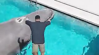 can you jump into the pool from the sky?