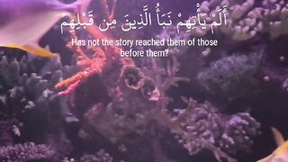 القرآن الكريم 28