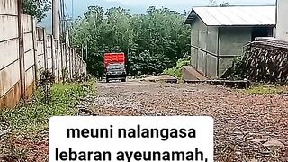 ayam broiler || kata kata lucu 235