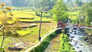 Pemandangan alam yang sangat indah