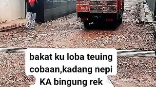ayam broiler || kata kata lucu 236