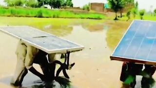 It’s too  today????????! #shortvideos #funnyvideos #comedy