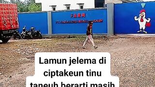 ayam broiler || kata kata lucu 237